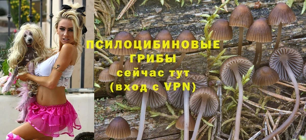 твердый Алексин